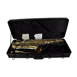 Саксофон Parrot 6435 L (Gold) Thumb