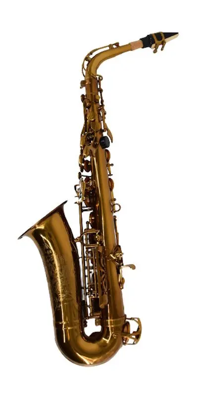 Saxofon Parrot RL166 (Rose Gold)