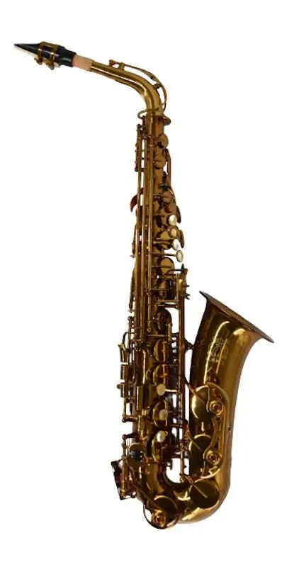 Saxofon Parrot RL166 (Rose Gold)
