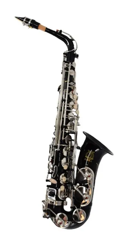Saxofon Parrot RL170 (Black)