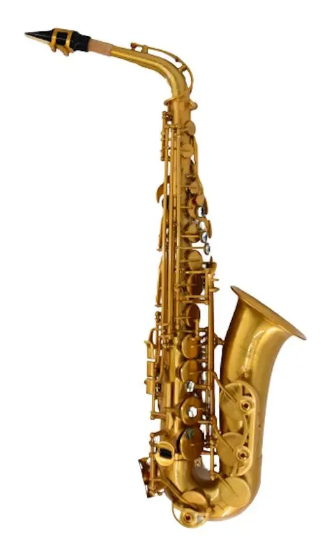 Saxofon Parrot TL52 (Gold)