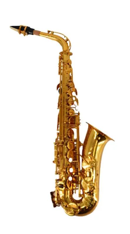 Saxofon Parrot TZ556 (Gold)
