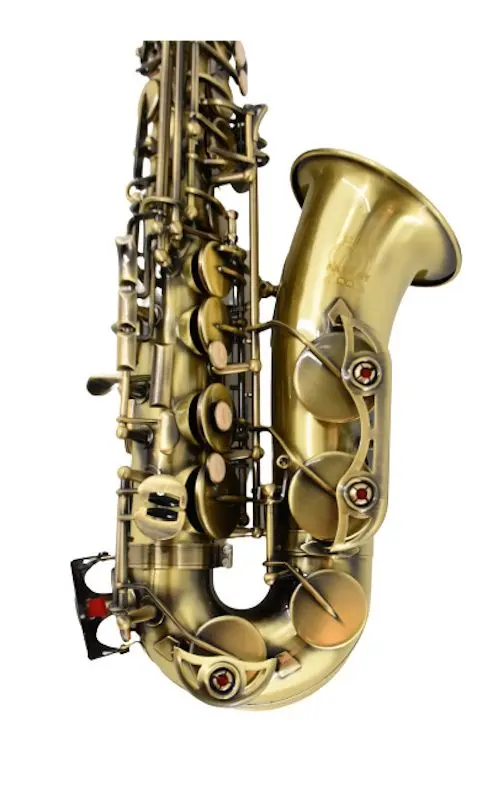 Saxofon Parrot ZRFL12 (Gold)
