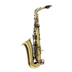 Saxofon Parrot ZRFL12 (Gold) Thumb