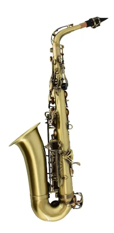 Saxofon Parrot ZRFL12 (Gold)