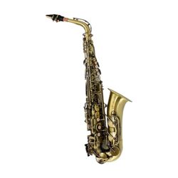 Saxofon Parrot ZRFL12 (Gold)