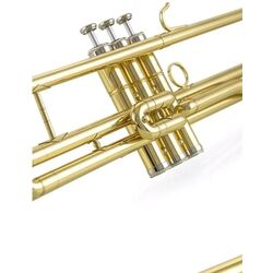 Trombon Parrot 6425 L Thumb