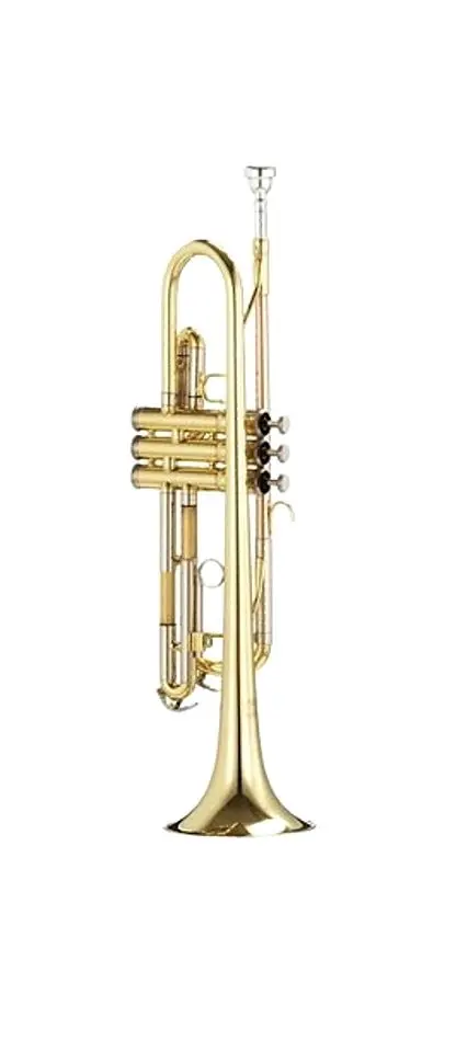 Труба Parrot 6416 L (Gold)
