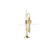 Trompeta Parrot 6416 L (Gold)