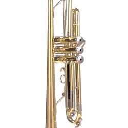 Труба Parrot 6416 L (Gold) Thumb