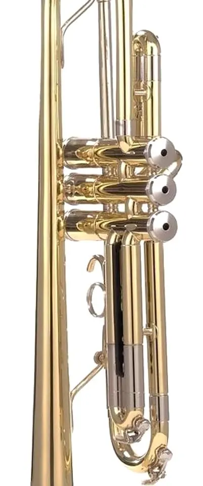 Труба Parrot 6416 L (Gold)