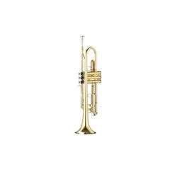 Trompeta Parrot 6416 L (Gold)