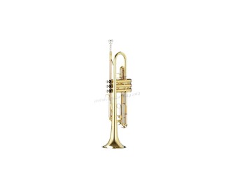 Trompeta Parrot 6416 L (Gold)