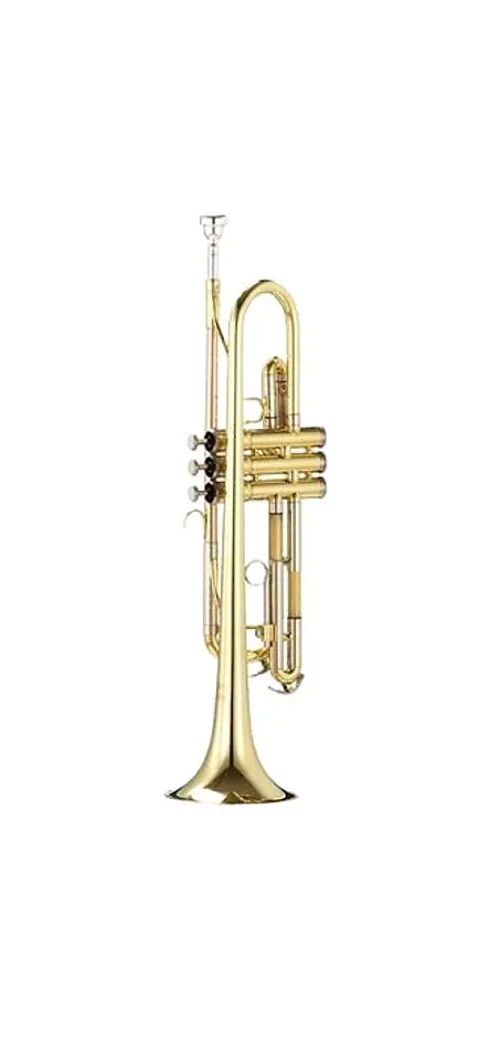 Труба Parrot 6416 L (Gold)