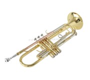 Trompeta Parrot 6416L-1 (Gold)