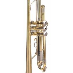 Trompeta Parrot 6416L-1 (Gold) Thumb