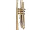 Trompeta Parrot 6416L-1 (Gold)