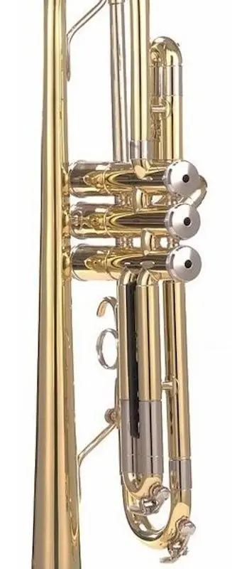 Trompeta Parrot 6416L-1 (Gold)