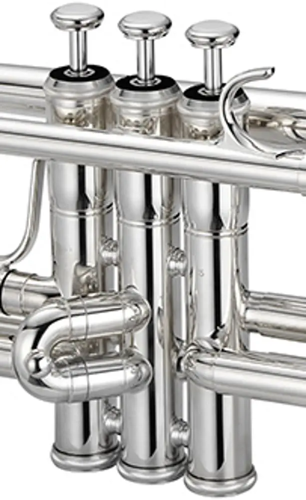 Trompeta Parrot 6416S