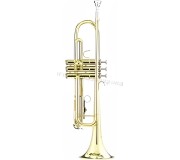 Trompeta Parrot 6420 A (Gold)