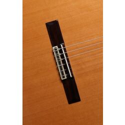 Chitara Alhambra 7C (Brown) Thumb