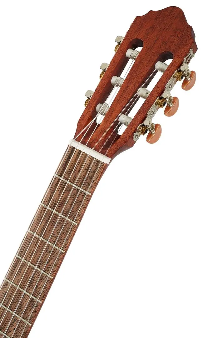 Chitara Cort AC100DX OP (Wood)