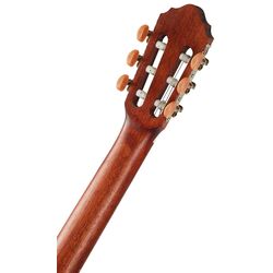 Chitara Cort AC100DX OP (Wood) Thumb