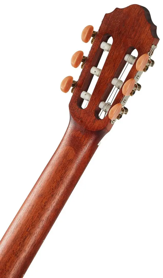 Chitara Cort AC100DX OP (Wood)