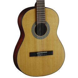 Chitara Cort AC50 (Open Pore) Thumb