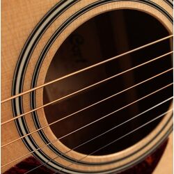 Chitara Cort AD810 (Open Pore) Thumb