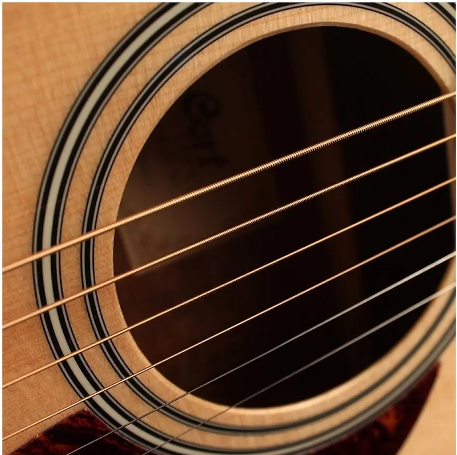 Chitara Cort AD810E (Open Pore)