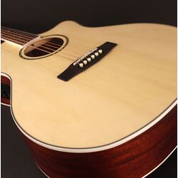 Chitara Cort GA-MEDX (Open Pore) Thumb