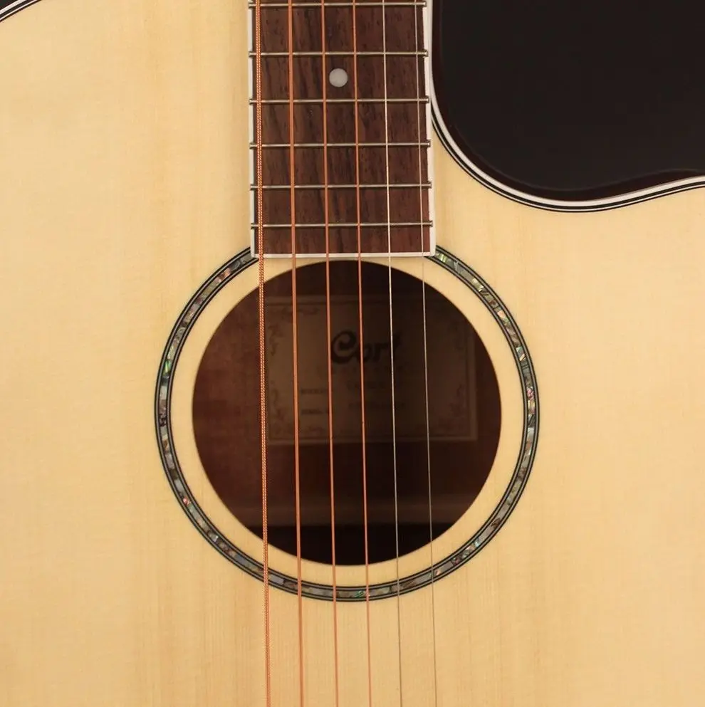 Chitara Cort GA-MEDX (Open Pore)