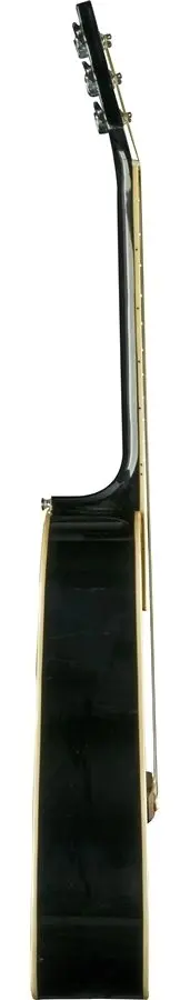 Гитара Eko NXT D (Black)