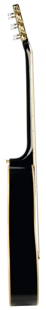 Chitara Eko NXT Parlor (Black)