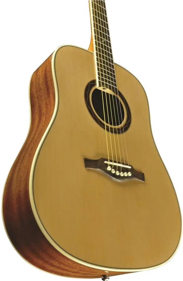 Chitara Eko One D (Wood)