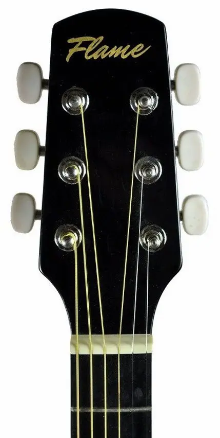 Гитара Flame CAG 100 (Black)