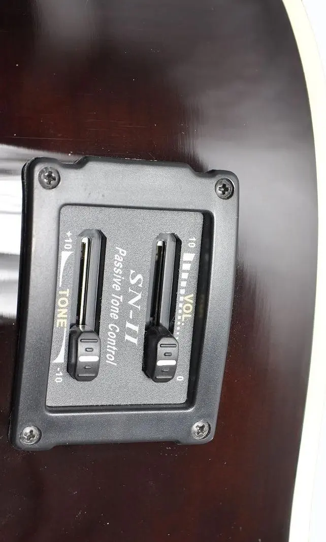 Chitara Flame DG 100 CT (Wood)