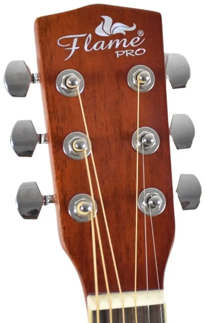 Chitara Flame Pro D120 CE NT