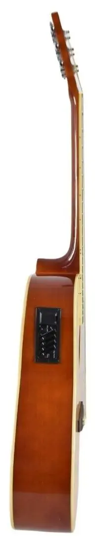 Chitara Flame Pro D120 CE NT