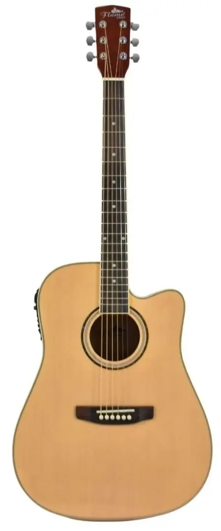 Chitara Flame Pro D120 CE NT