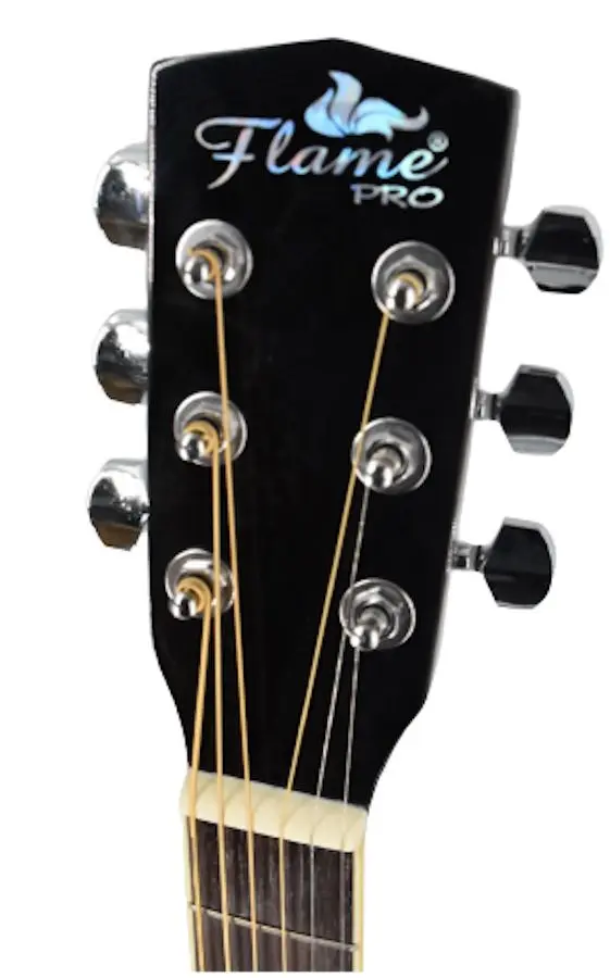 Chitara Flame Pro D120CE (Black)