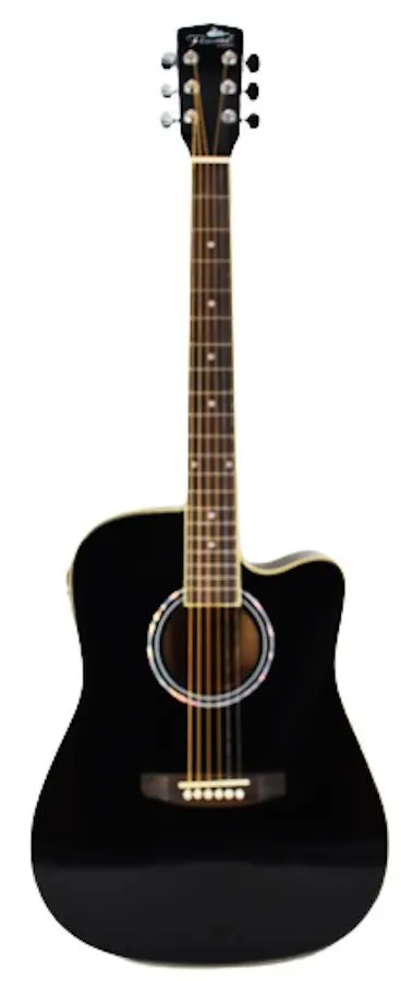 Chitara Flame Pro D120CE (Black)