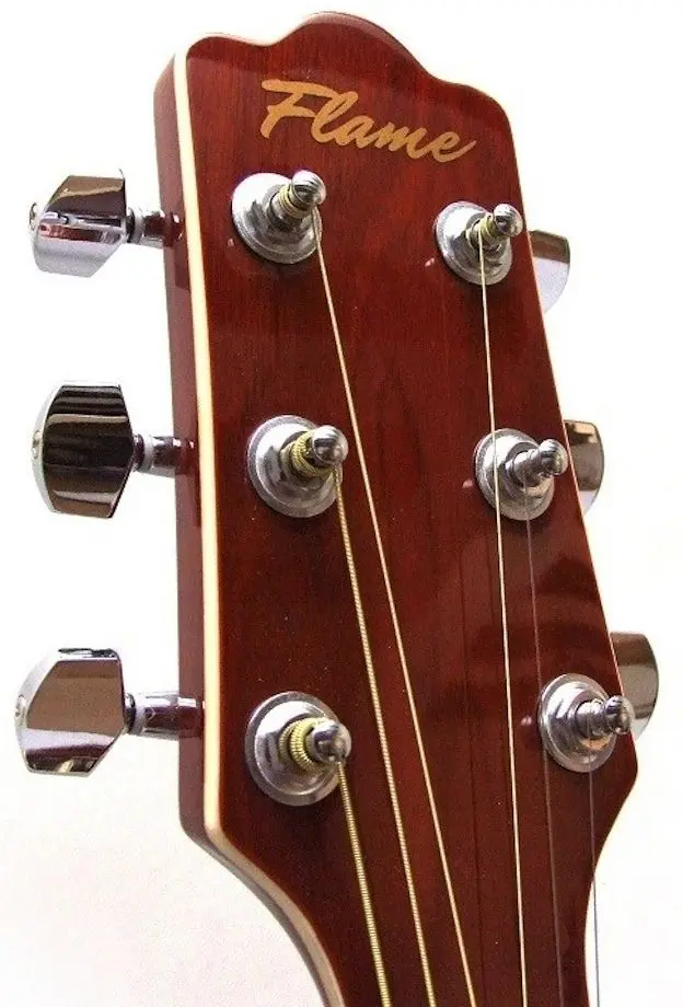 Chitara Flame Pro DG 200 CE (Natural)