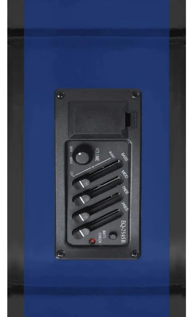 Chitara VidaXL 70141 Set (Blue) - 8