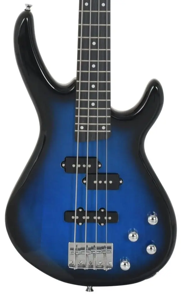 Chitara VidaXL 70182 (Blue/Black)