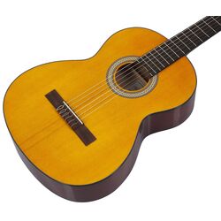 Chitara Walden WAN450W (Wood) Thumb