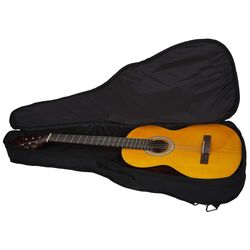 Chitara Walden WAN450W (Wood) Thumb