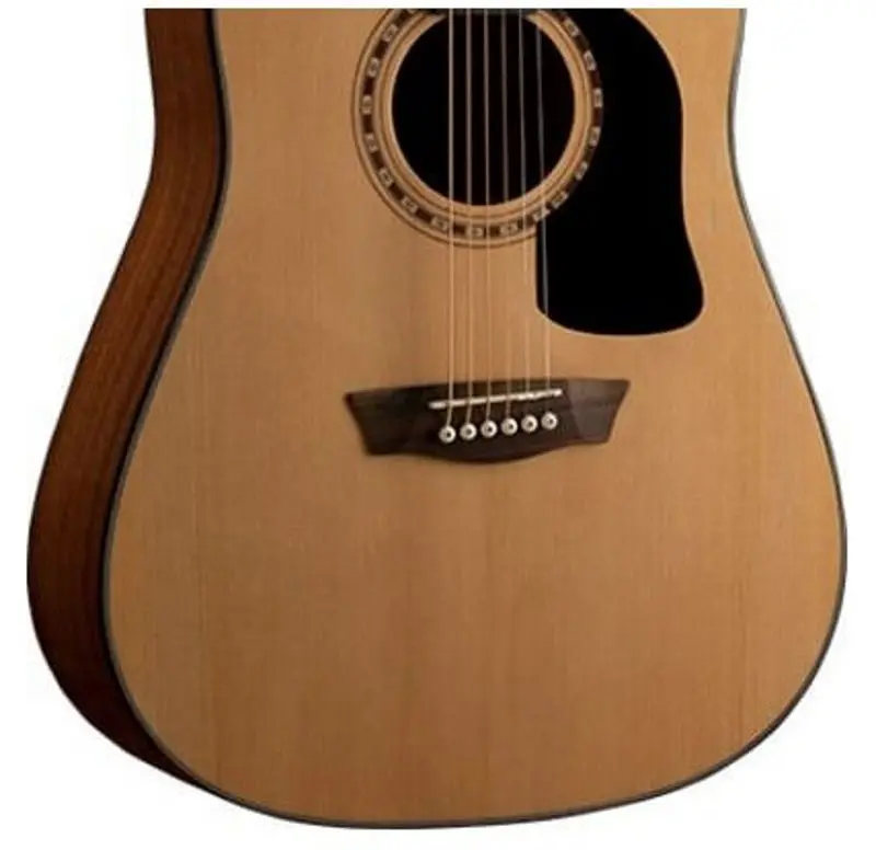 Гитара Washburn Apprentice D5 (Natural)