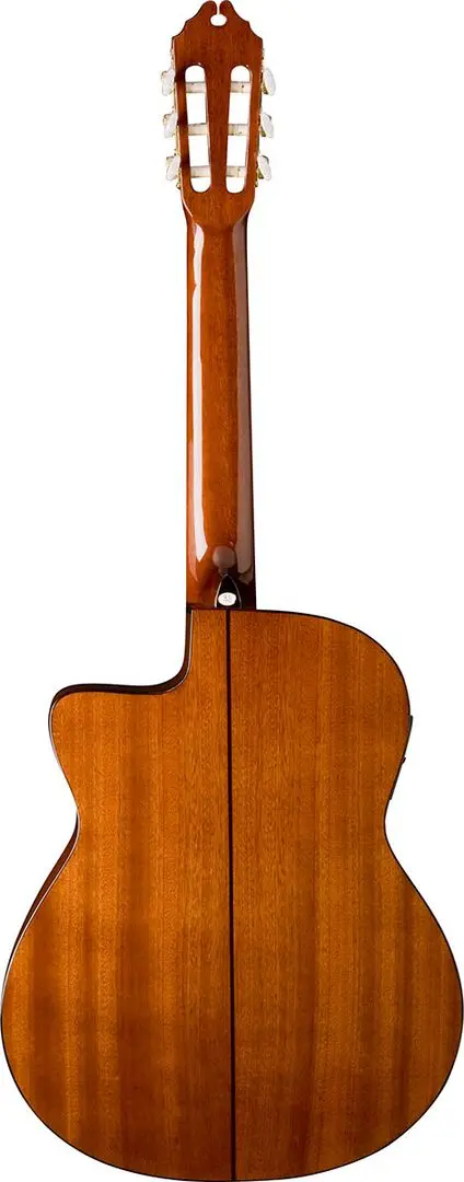 Chitara Washburn C5CE (Natural)